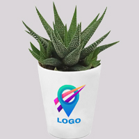 Univers Plantes et plants d'arbre avec un pot ou une carte personnalisée avec votre logo