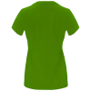 Couleur GRGREEN