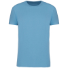 Couleur Cloudy blue heather