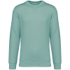 Couleur Jade Green