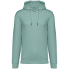 Couleur Jade Green