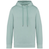 Couleur Washed Jade Green