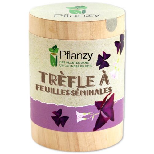 Trèfles à feuilles séminales