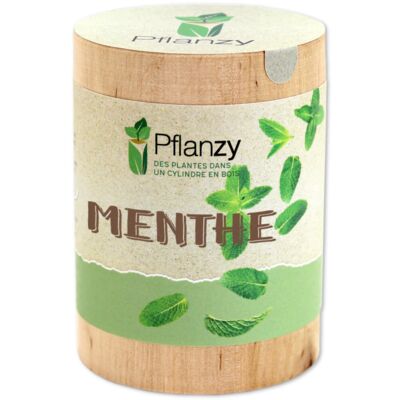 Menthe